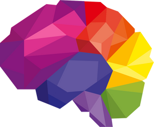 Multicolored Human Brain